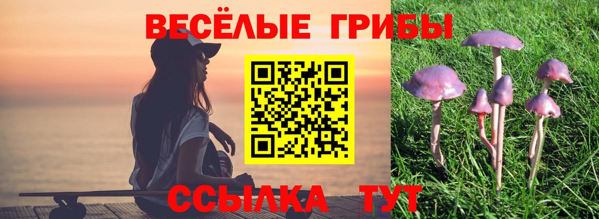 Псилоцибиновые грибы мицелий Жуковский